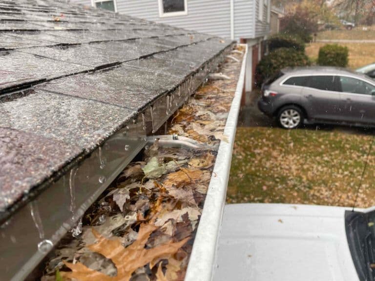 Clogged Gutters
