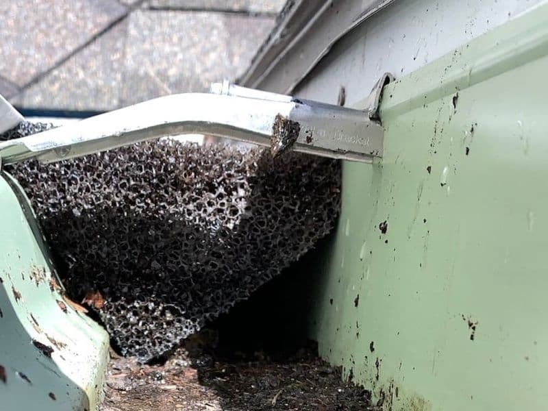 Gutter Guards