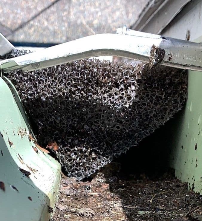 Post_page2_image10.2