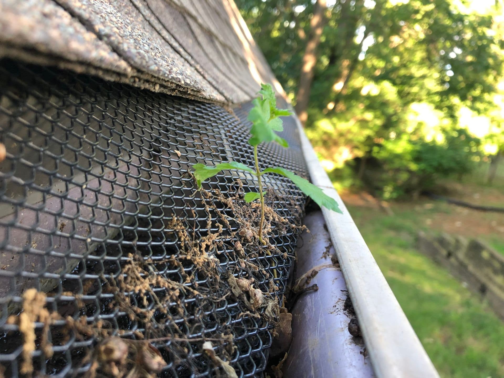 Gutter Screens