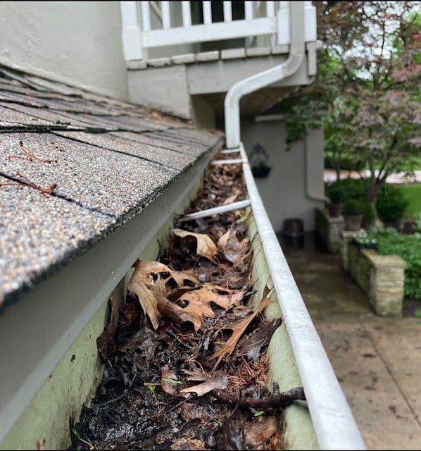 before gutter guard