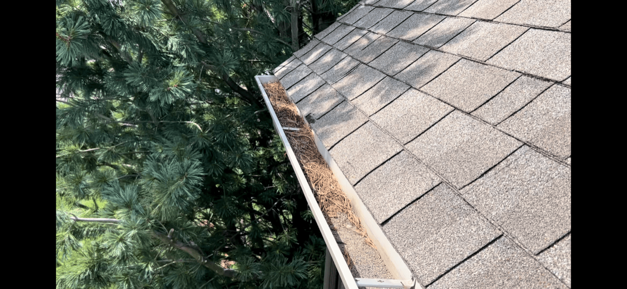 best-gutter-guards-for-pine-needles
