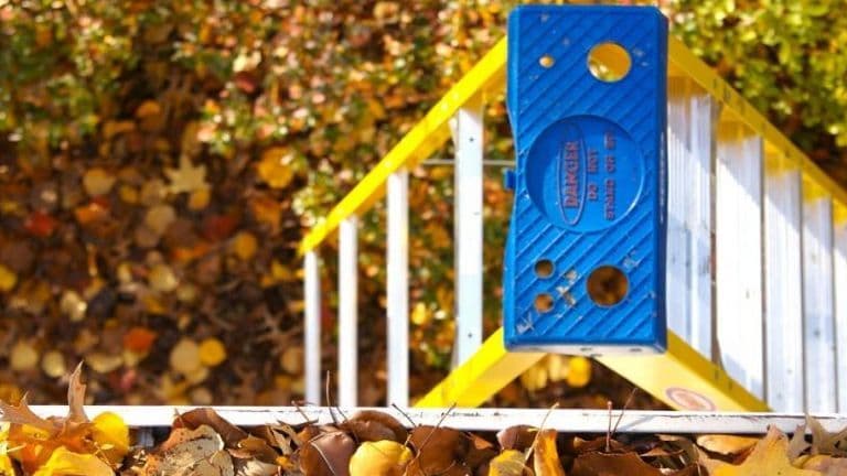 clogged_gutters_ladder