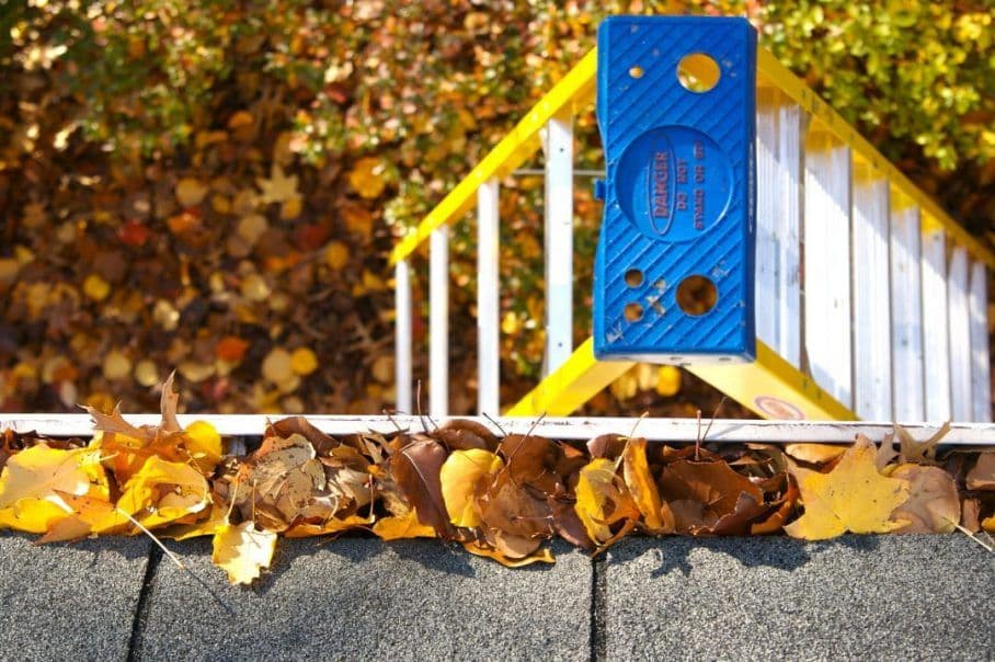 clogged_gutters_ladder