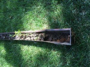 Clogged gutters.