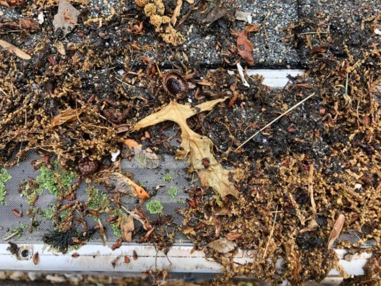 leaffilter