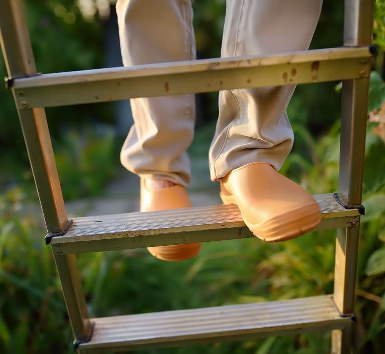 Never Want To Climb A Ladder Again