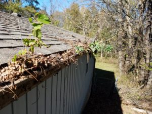 Example of Clogged Gutters Causing water Issues