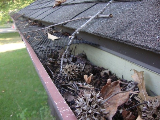gutter screen that is clogged with debris