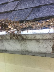 example of screens on gutters