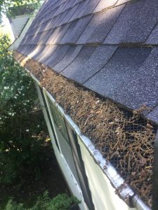 Screens installed on gutters