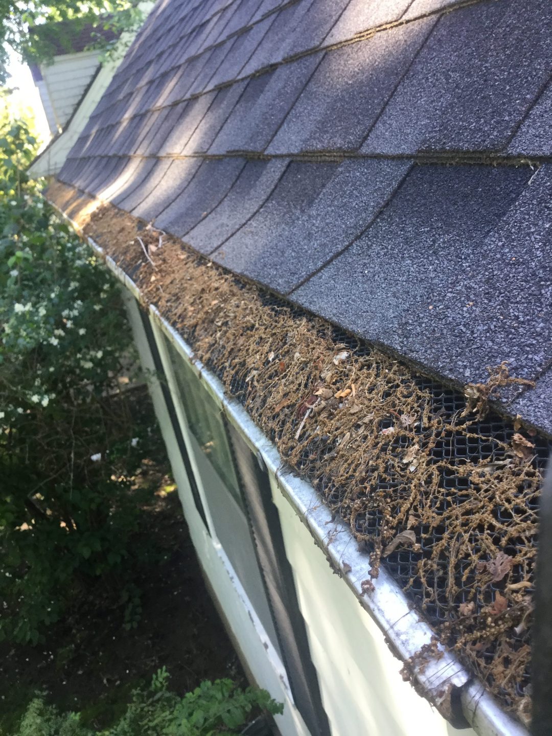 Why Gutter Screens Are a Waste of Money - Gutter Cover KC
