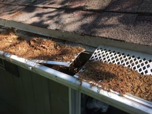 screens ripped up by critters in get into gutter