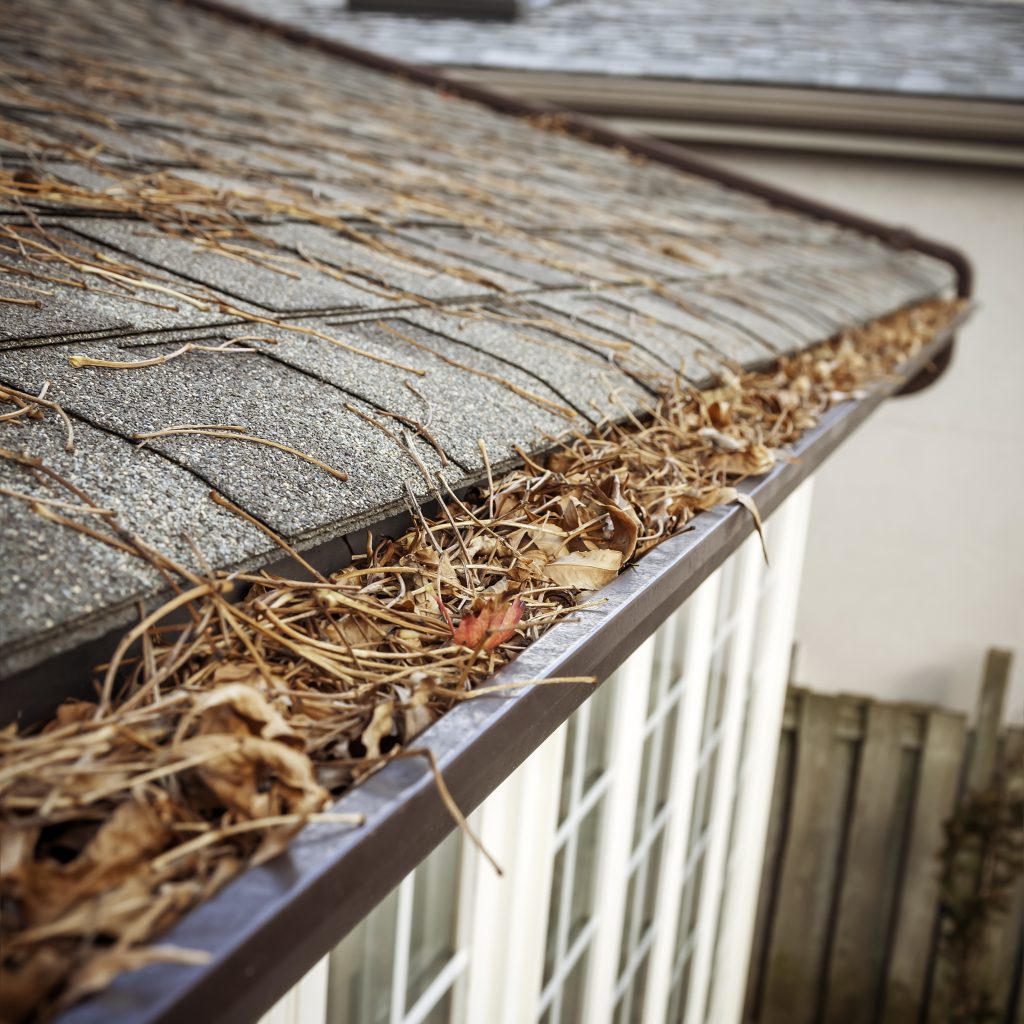 clogged gutter system in kansas city