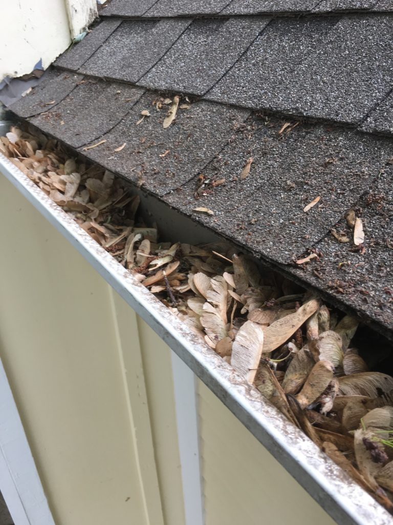 Which Gutter Guard Keeps Helicopters Out of the Gutter. Whirly birds or spinners are clogging this gutter. This gutter needs a gutter guard.