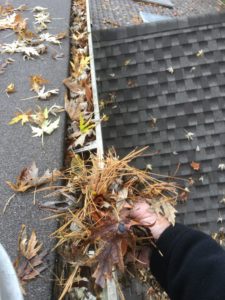 Cleaning out fall leaves