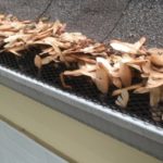 maple seeds are draped on top of the gutter screen. This means the gutter screen will have to be cleaned in addition to the gutters.