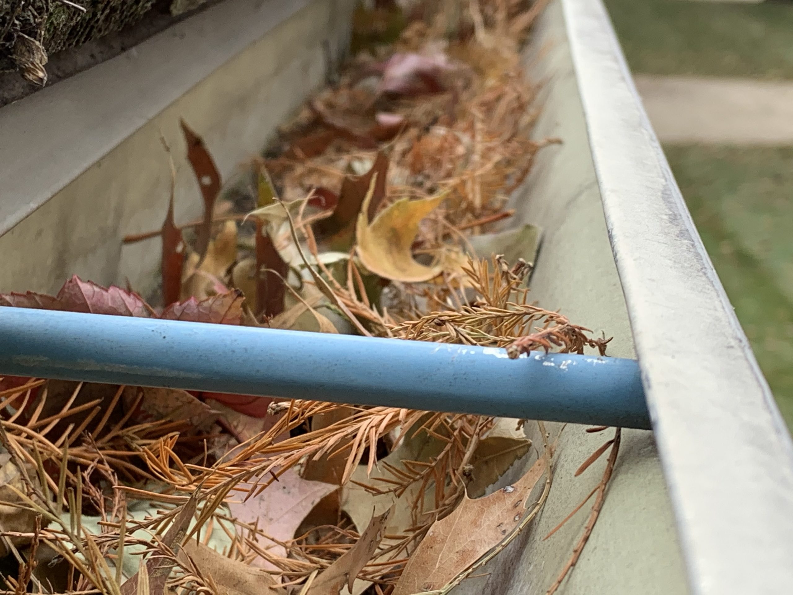 clogged-gutter-with-fall-debris