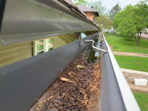 Gutter is not properly attached to the house and is sagging - you can see the home
