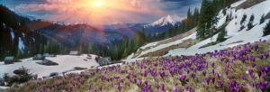 valley-of-flowers-surrounded-by-snow-covered-mountains