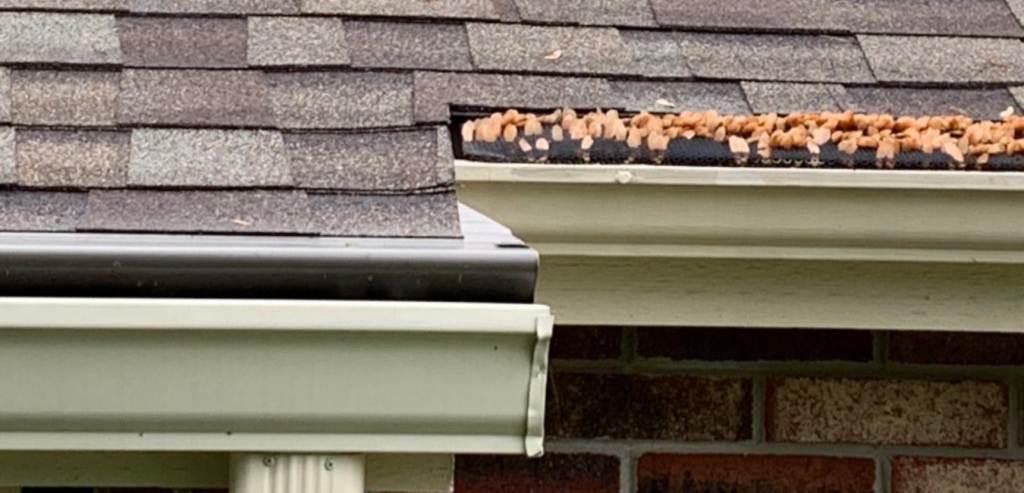 two-duplex-neighbors-one-has-advantage-gutter-guard-the-other-has-screens-gutter-guard-is-clean-screens-are-full-of-maple-seed-spinners