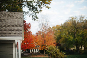 close-up-of-advantage-gutter-guard-with-fall-trees-in-background