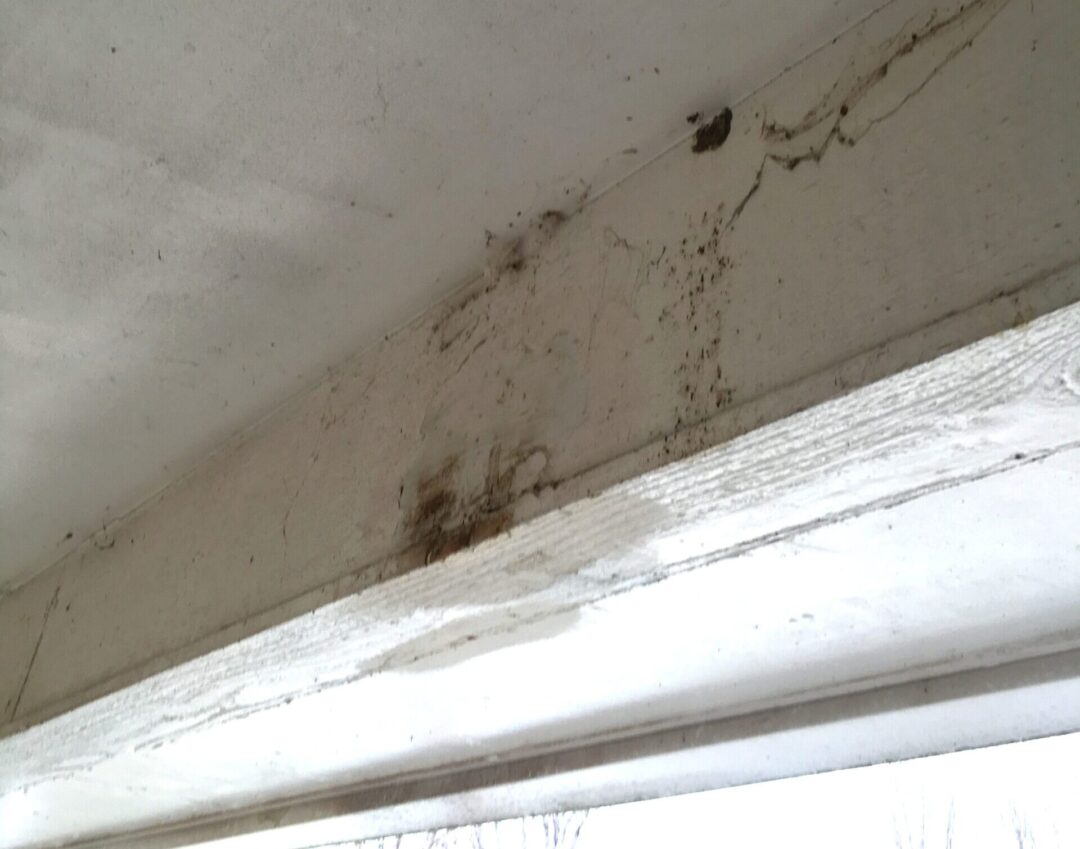 wood-rot-damage-on-home