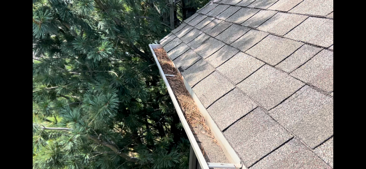 gutter-clogged-with-pine-needles