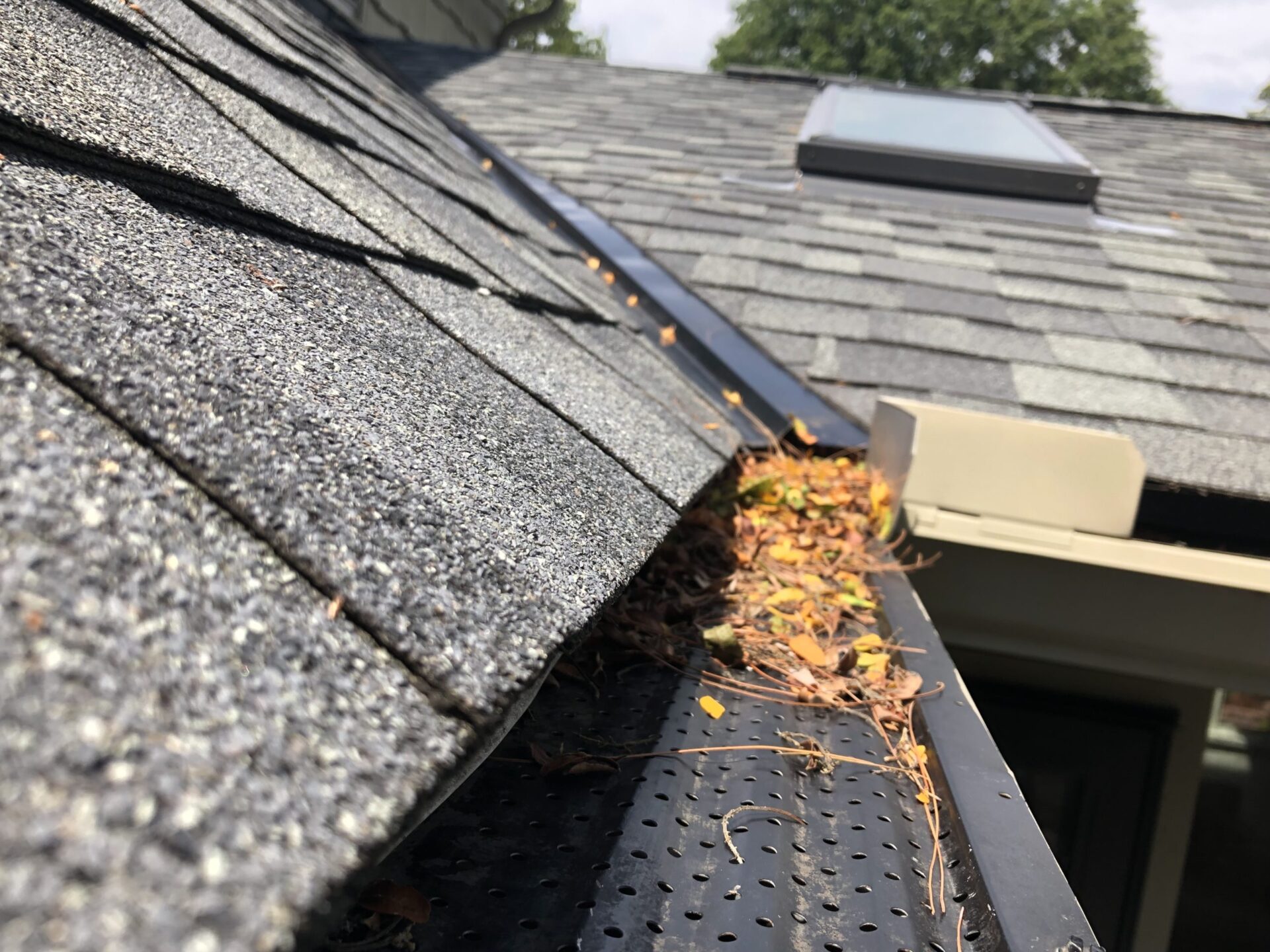 screen-gutter-guard-protection-system